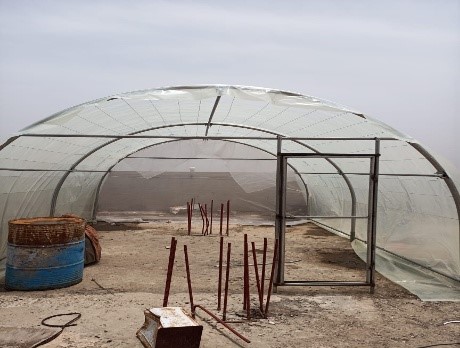 building greenhouse in Yemen.jpg